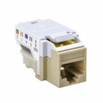 RJ45FC5E-I Picture