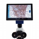 VE-SCOPEPAD 300 Picture