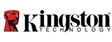 Kingston LOGO